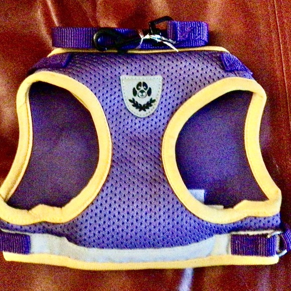 Dogs Harness and leash and dog brush,. new - Picture 11 of 16